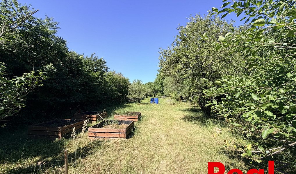 Prodej zahrady 2 459 m², Brno – náhled fotky 4