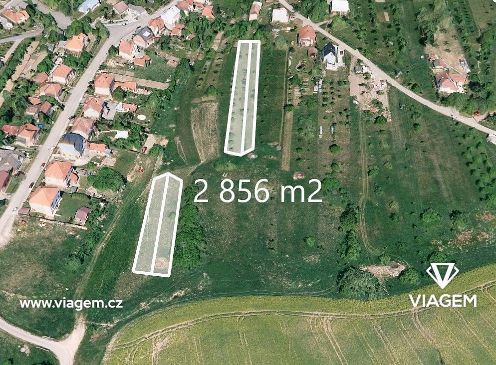 Fotka 4 z 5