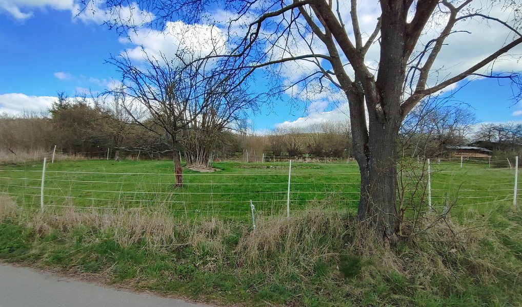 Prodej stavebního pozemku 2 605 m², Vísky – náhled fotky 2