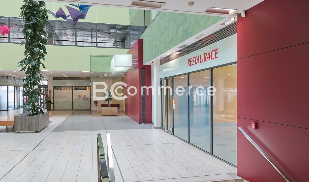 Pronájem obchodních prostor 214 m², Brno – náhled fotky 9
