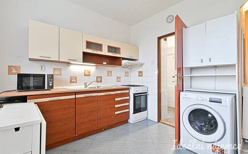 Pronájem bytu 1+1 30 m², sídl. Družba, Židlochovice, okres Brno-venkov