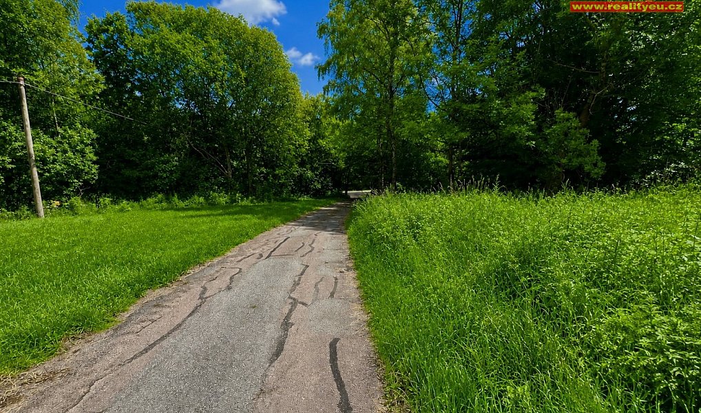 Prodej louky 7 453 m², Deštné v Orlických horách – náhled fotky 4