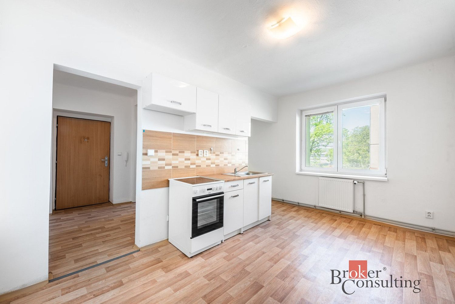 Prodej bytu 1+1 45 m²