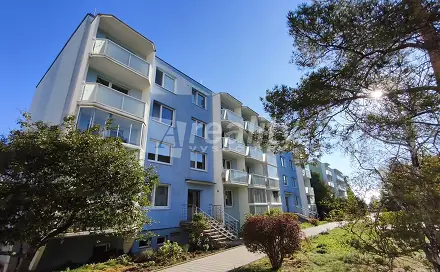Pronájem bytu 1+1 35 m², Zborovská, Náměšť nad Oslavou, okres Třebíč