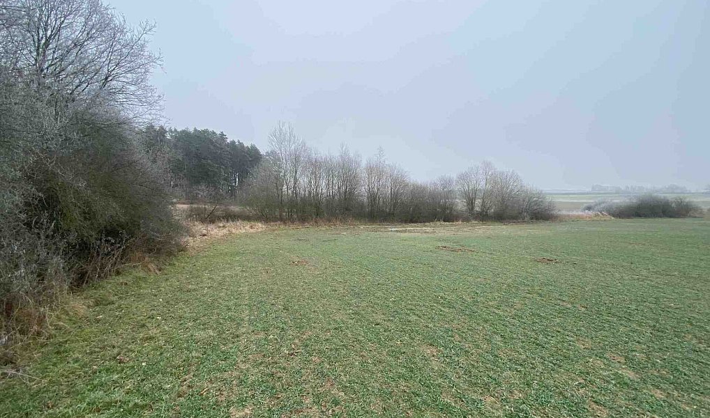 Prodej pole 13 059 m², Slatina – náhled fotky 15
