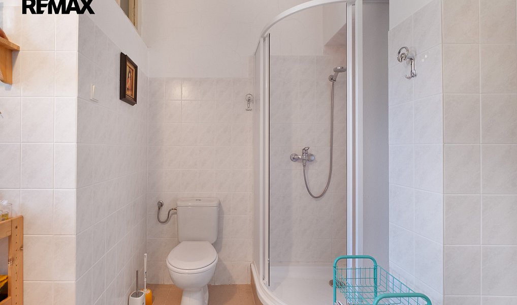 Prodej komerčního objektu (jiného typu) 280 m², Moravský Beroun – náhled fotky 25