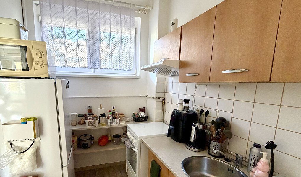 Pronájem bytu 1+1 36 m², Praha – náhled fotky 4