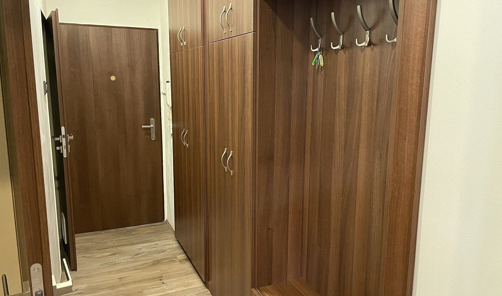 Pronájem bytu 2+1 50 m², Kolín – náhled fotky 9