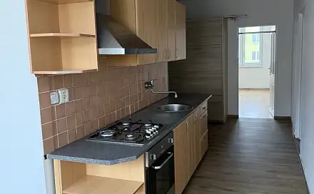 Prodej bytu 2+1 77 m², Sadová, Nové Sedlo, okres Sokolov