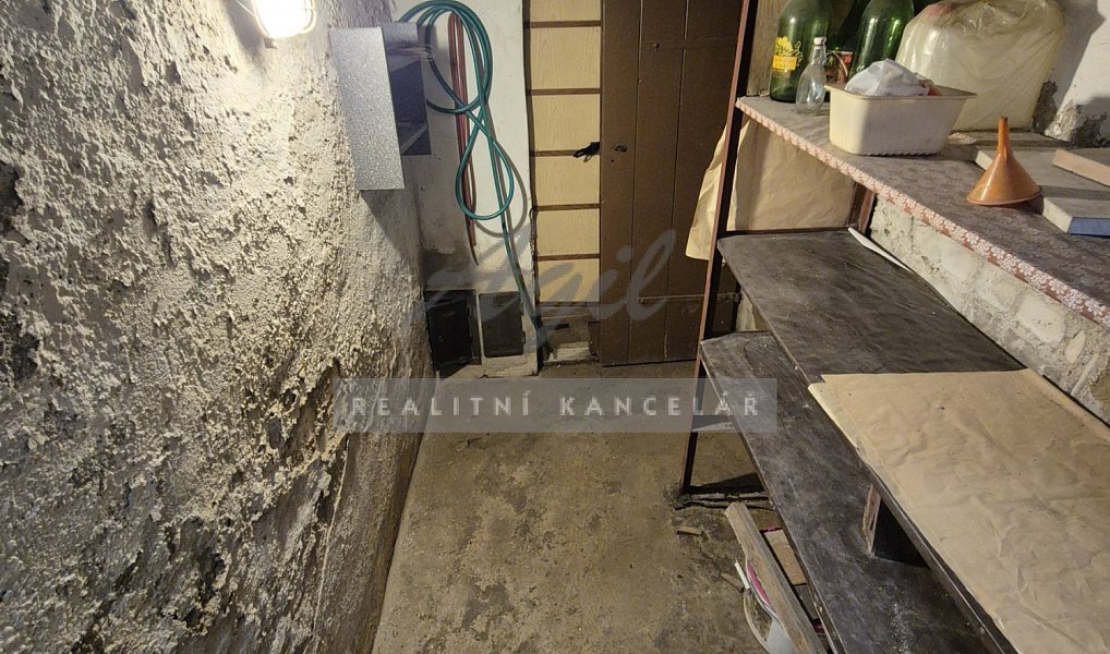 Prodej domu 256 m² s pozemkem 256 m², Šlapanice – náhled fotky 13