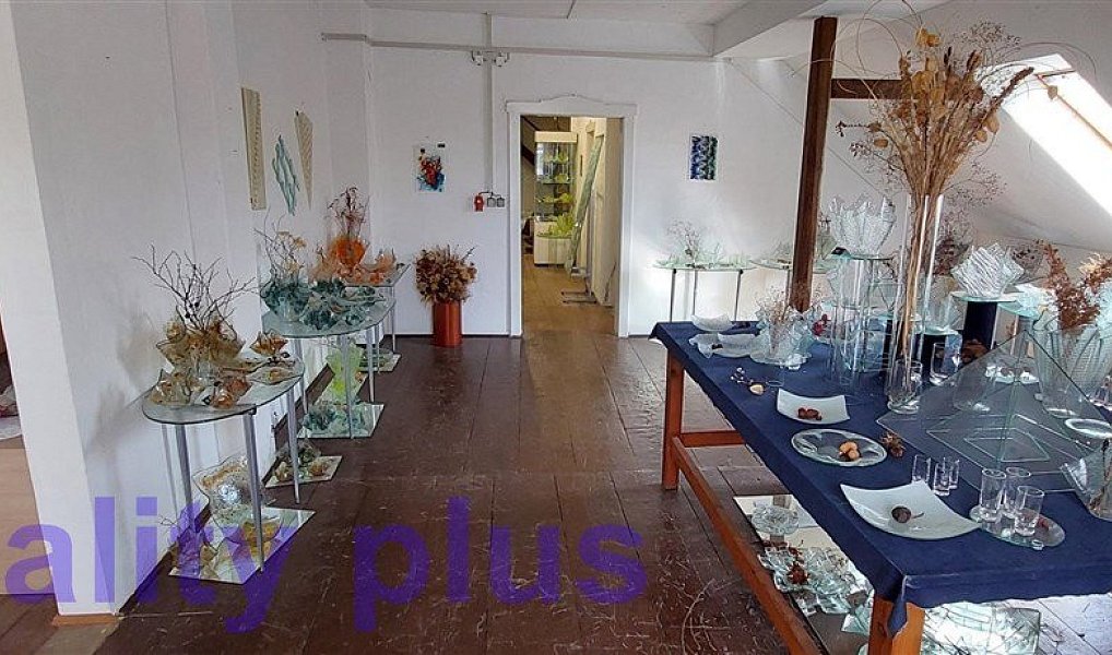 Prodej domu 250 m² s pozemkem 3 692 m², Heřmanice – náhled fotky 31