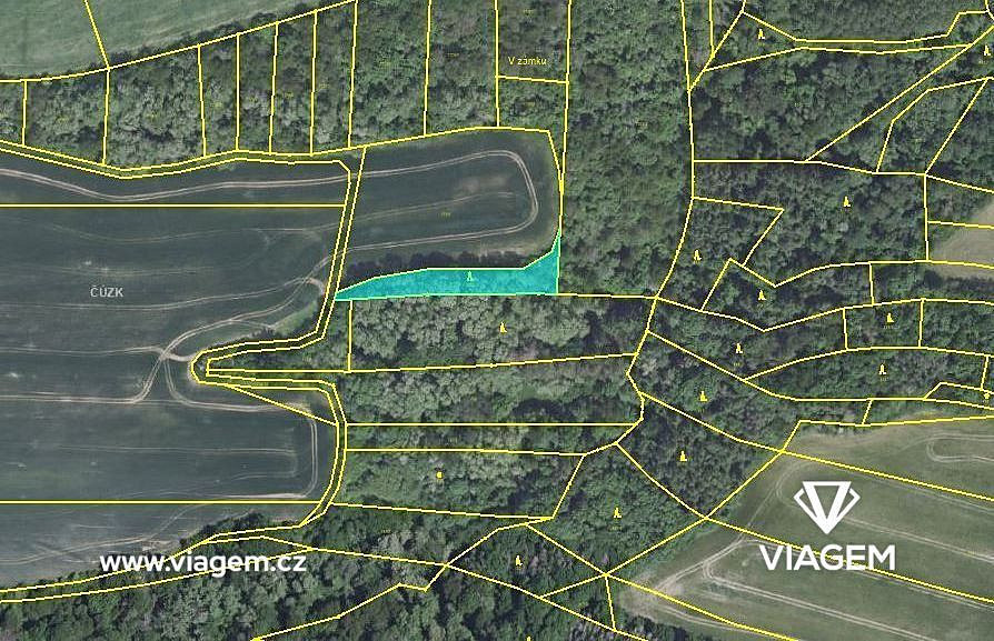 Prodej lesa 690 m² – fotografie 3