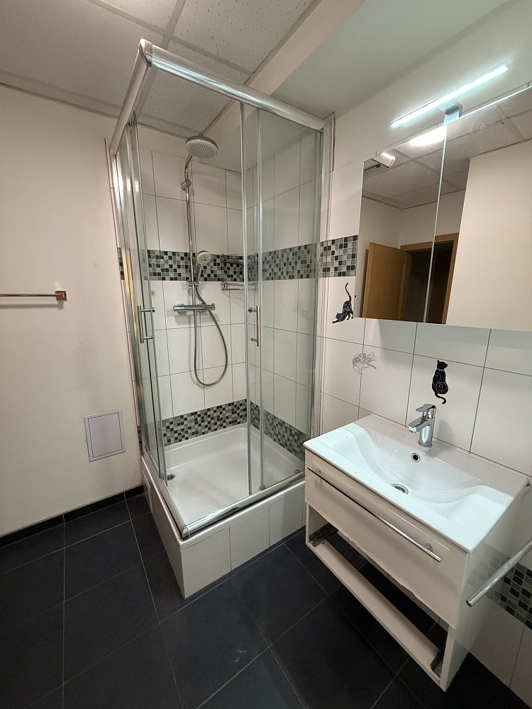 Pronájem nájemního domu, činžáku 626 m² — photo 4