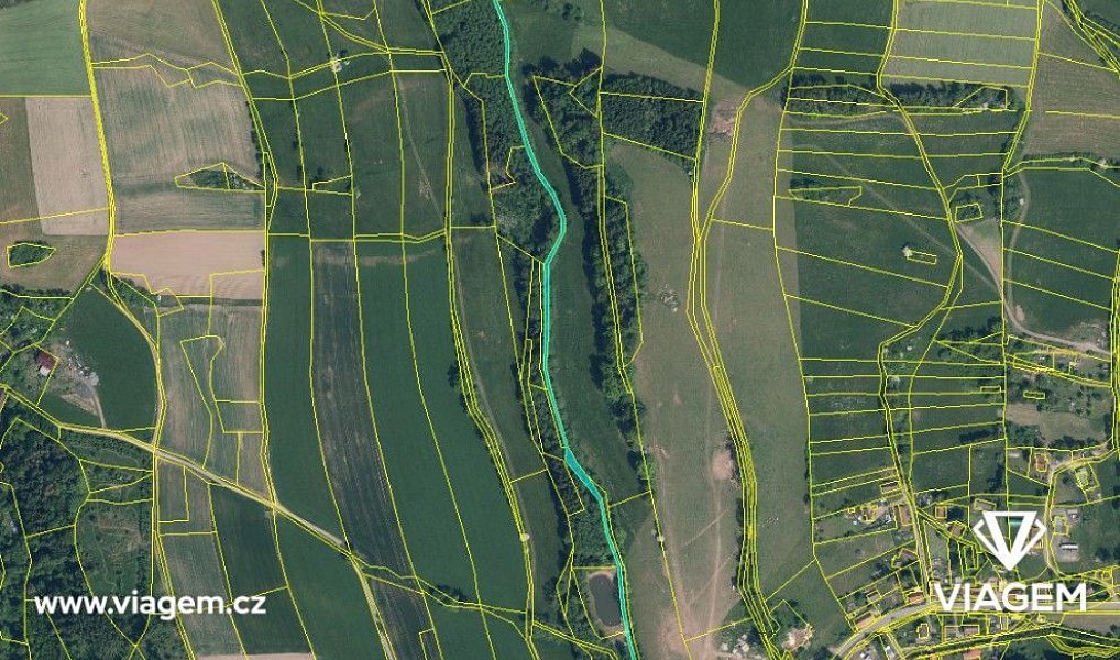 Prodej lesa 5 621 m², Košťálov – náhled fotky 5