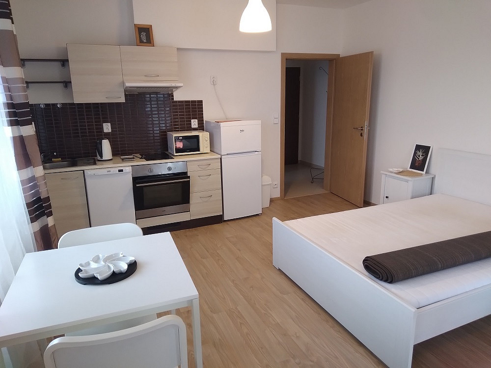 Pronájem bytu 1+kk 37 m²