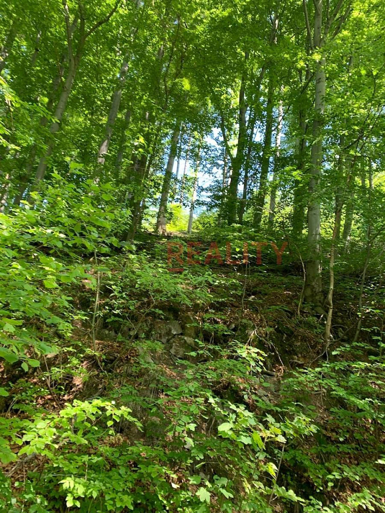 Prodej lesa 102 143 m² — photo 2