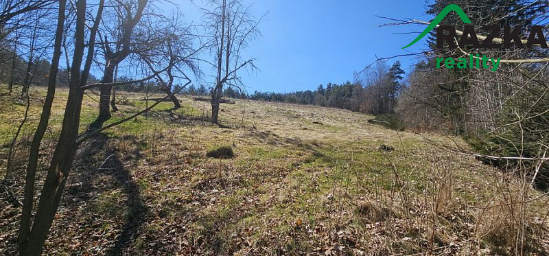 Prodej pozemku 3 343 m² – fotografie 2