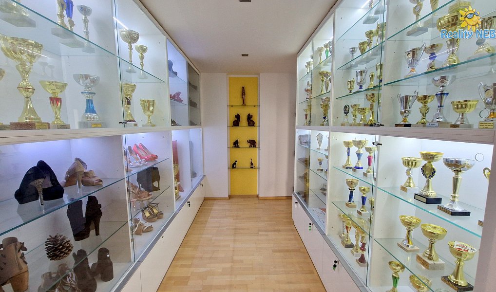 Prodej bytu 4+kk 446 m², Brno – náhled fotky 11
