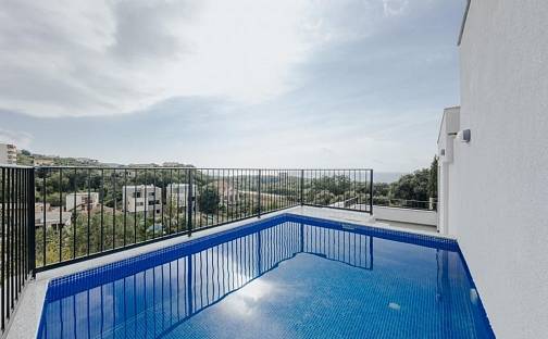 Prodej domu 166 m² s pozemkem 218 m², Dobrá Voda, Černá Hora