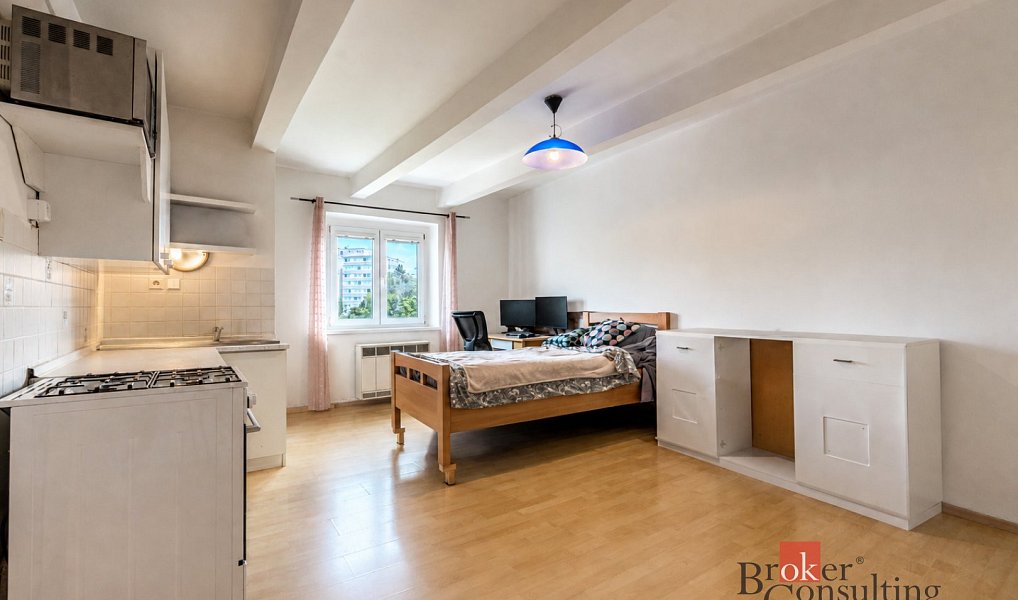 Prodej bytu 1+kk 32 m², Plzeň – náhled fotky 4