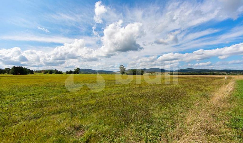 Prodej stavebního pozemku 4 399 m², Nýrsko – náhled fotky 7