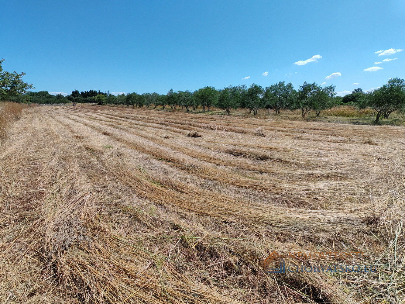 Prodej stavebního pozemku 1 000 m² - Ansicht 3