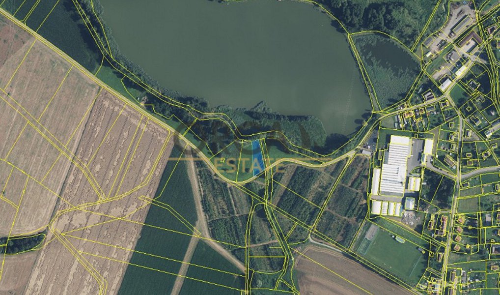 Prodej louky 292 m², Třebařov – náhled fotky 2