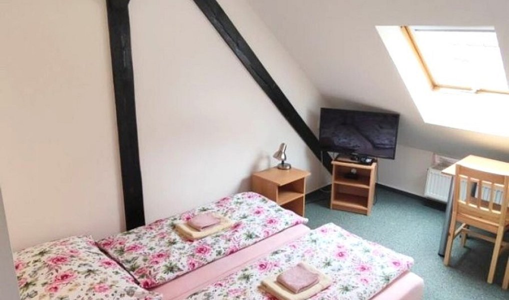 Prodej domu 290 m² s pozemkem 188 m², Třeboň – náhled fotky 7