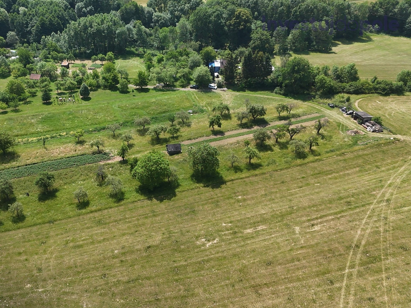 Fotka 11 z 12