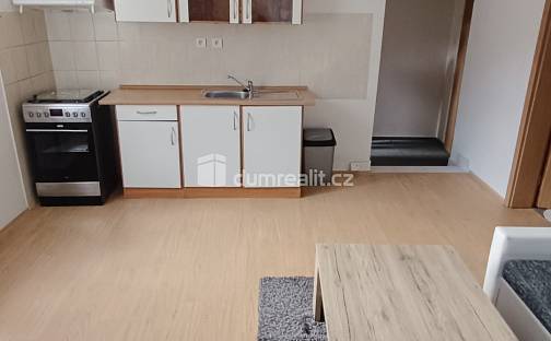 Pronájem bytu 1+1 44 m², Saská, Děčín - Děčín X-Bělá