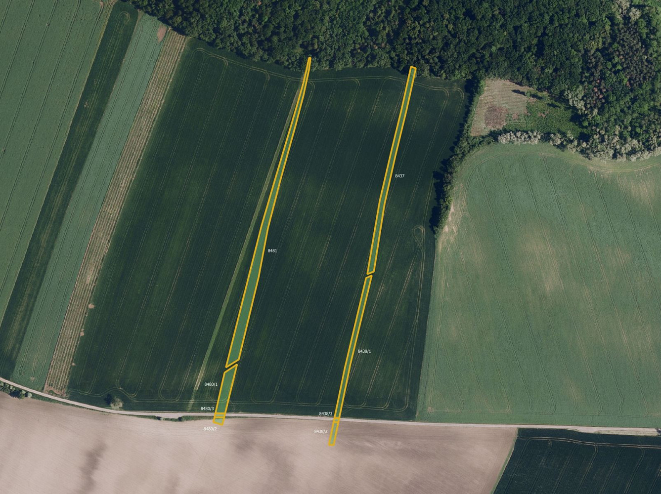 Prodej pole 8 291 m²