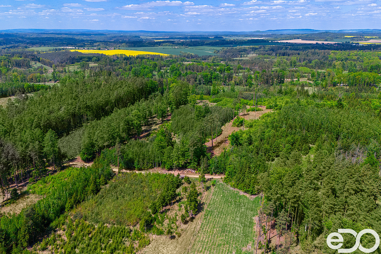 Prodej lesa 79 500 m² – fotografie 4