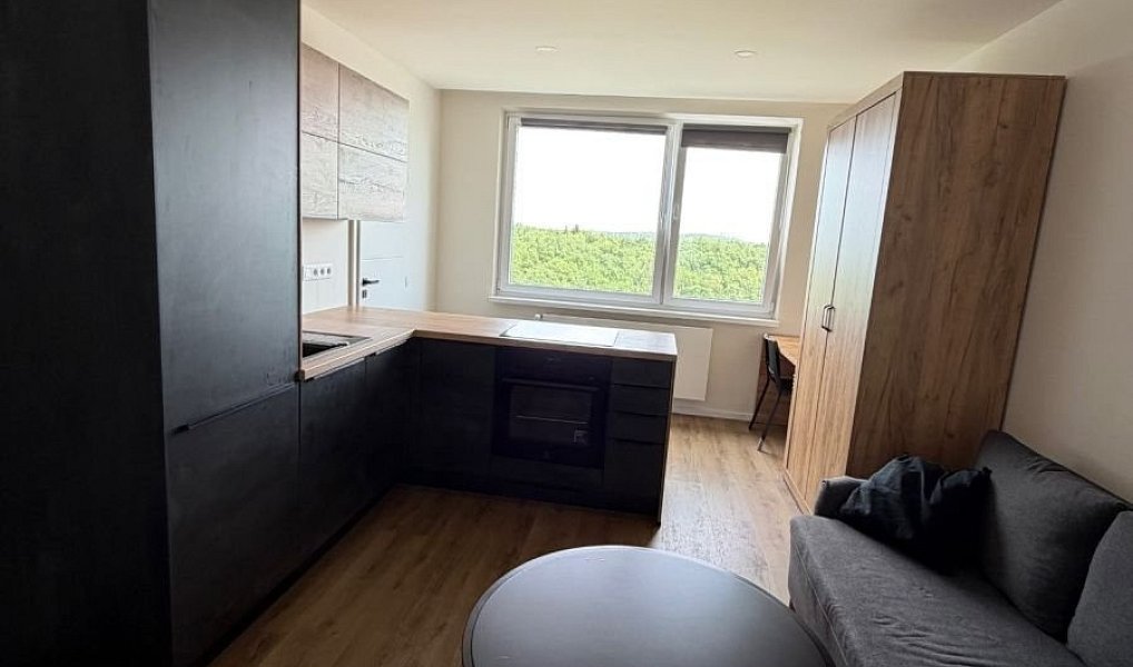 Prodej bytu 1+kk 31 m², Praha – náhled fotky 11