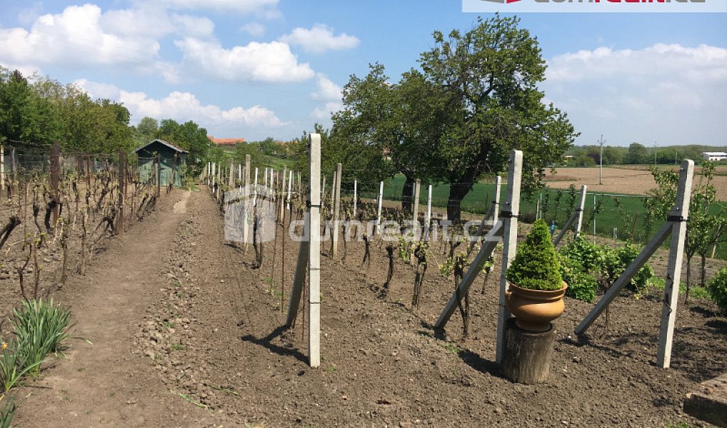 Pronájem chaty/chalupy 29 m², Tvrdonice – náhled fotky 3