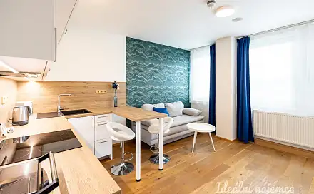 Pronájem bytu 1+kk 26 m²