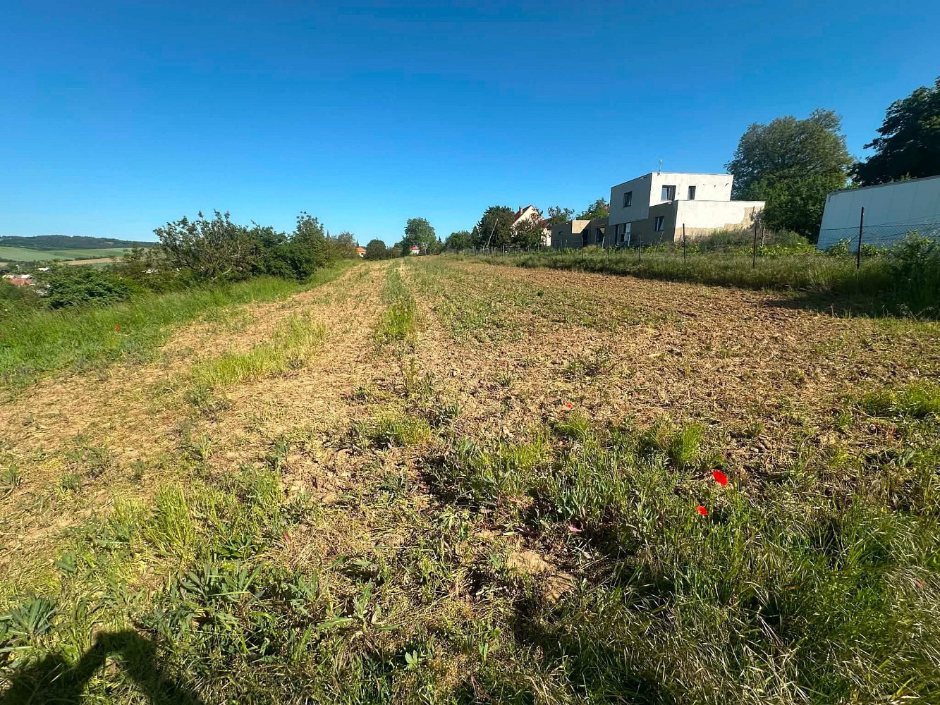 Prodej pole 2 375 m² – pohled 3
