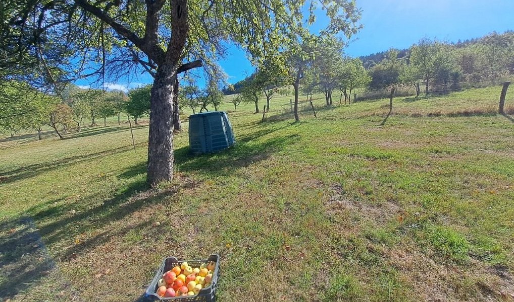Prodej chalupy 180 m² s pozemkem 2 834 m², Prlov – náhled fotky 33