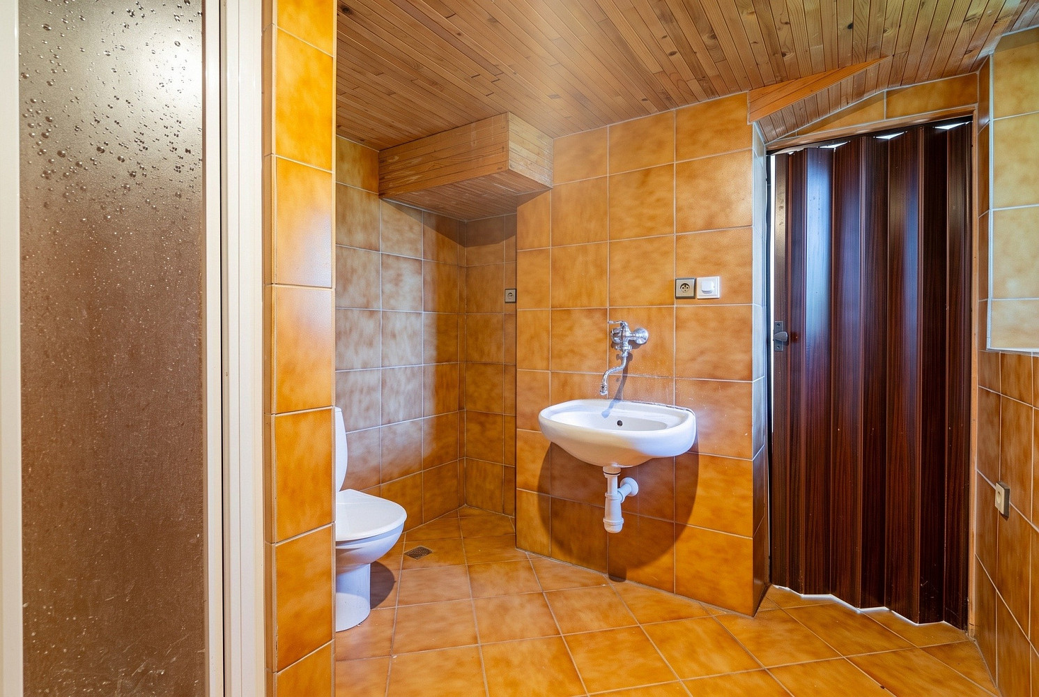 Fotka 11 z 30