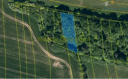 Prodej lesa 1 839 m², Hradec nad Moravicí - Benkovice, okres Opava