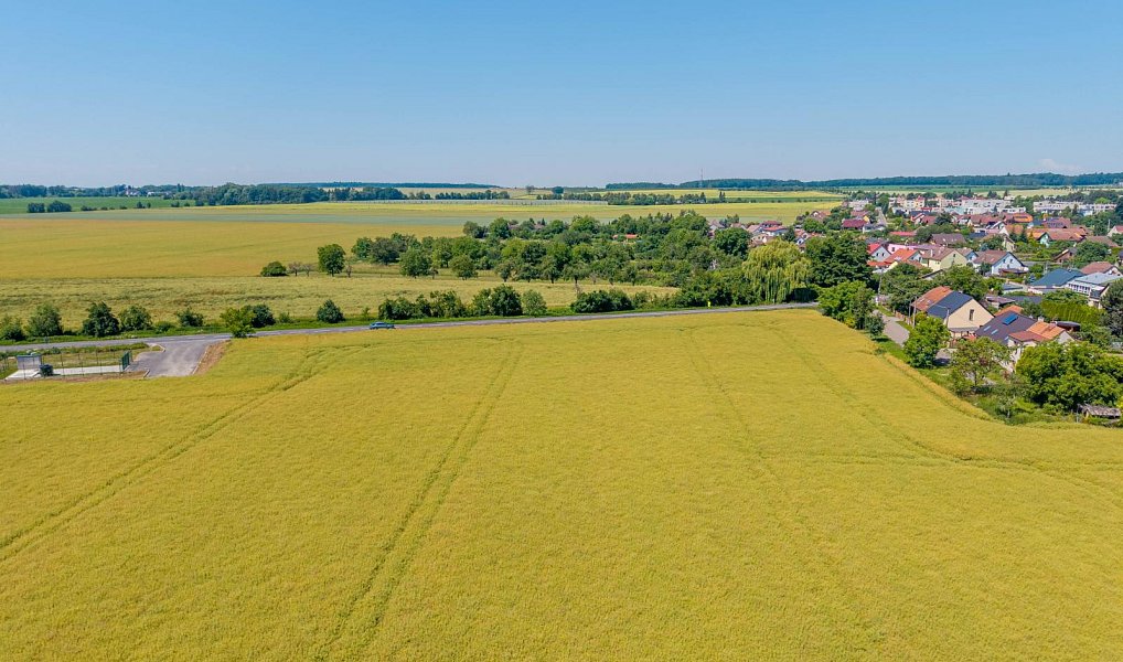 Prodej stavebního pozemku 14 692 m², Stěžery – náhled fotky 5