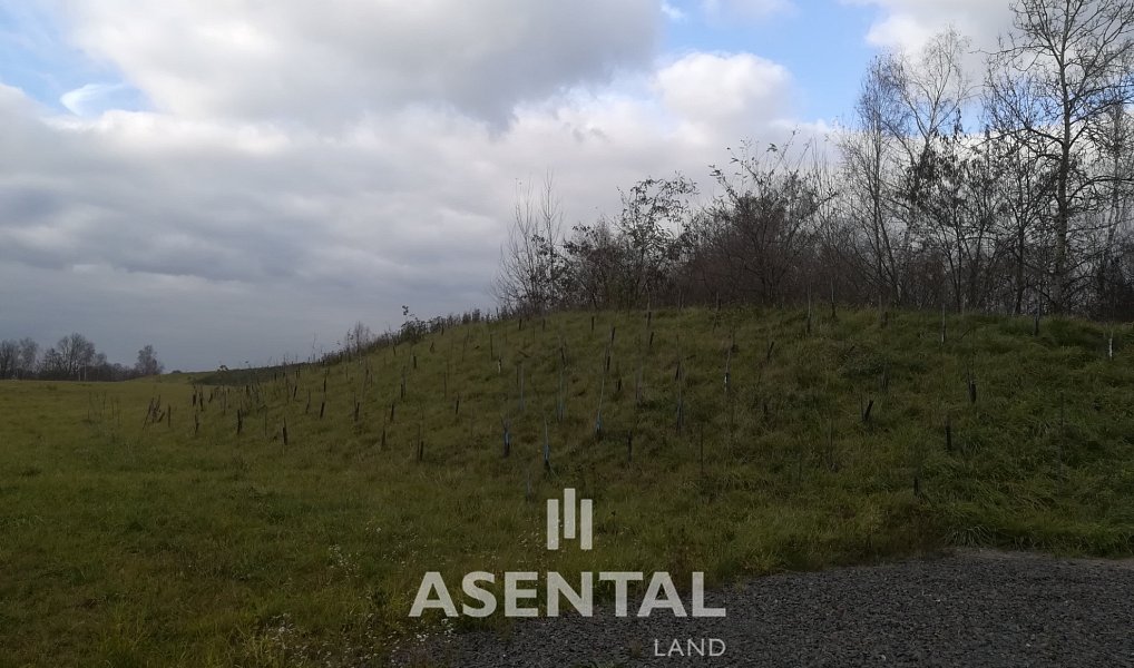 Prodej komerčního pozemku 19 948 m², Orlová – náhled fotky 2