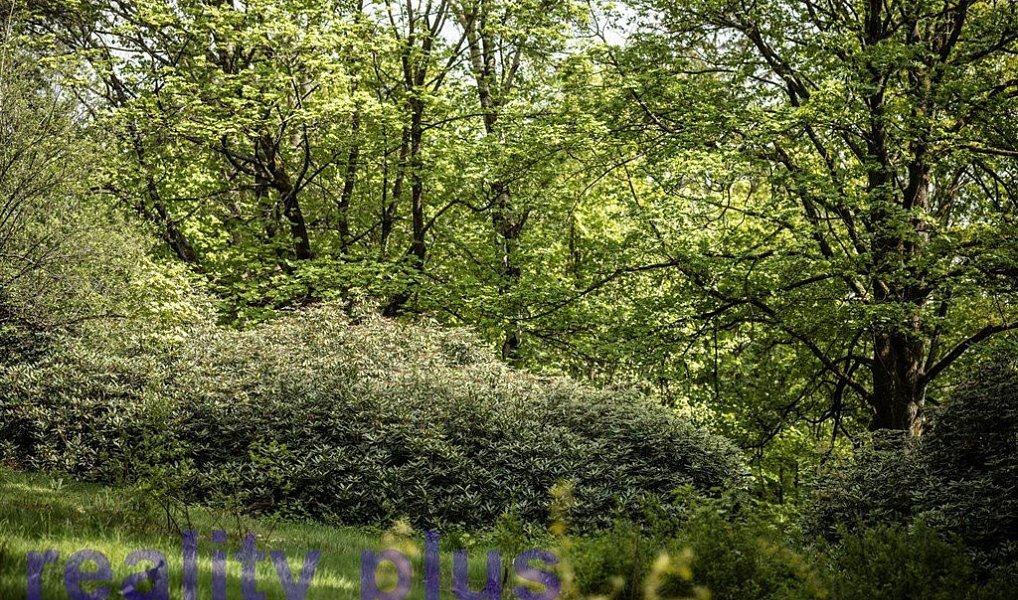 Prodej komerčního objektu (jiného typu) 1 000 m², Liberec – náhled fotky 22
