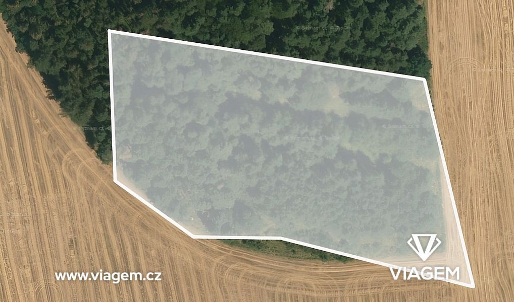 Prodej lesa 1 150 m², Seloutky – náhled fotky 2