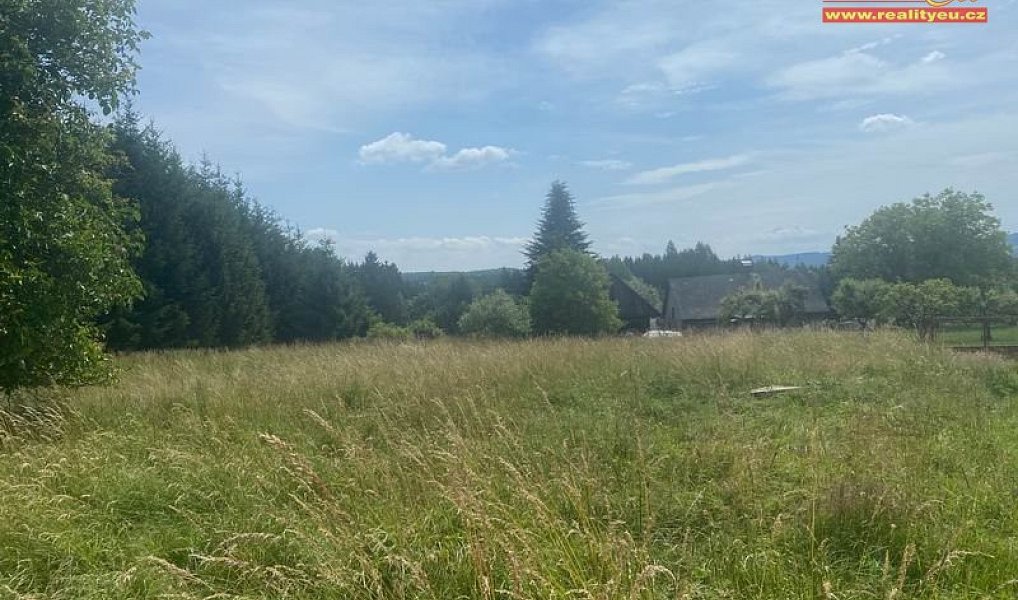 Prodej stavebního pozemku 5 284 m², Chotěvice – náhled fotky 10