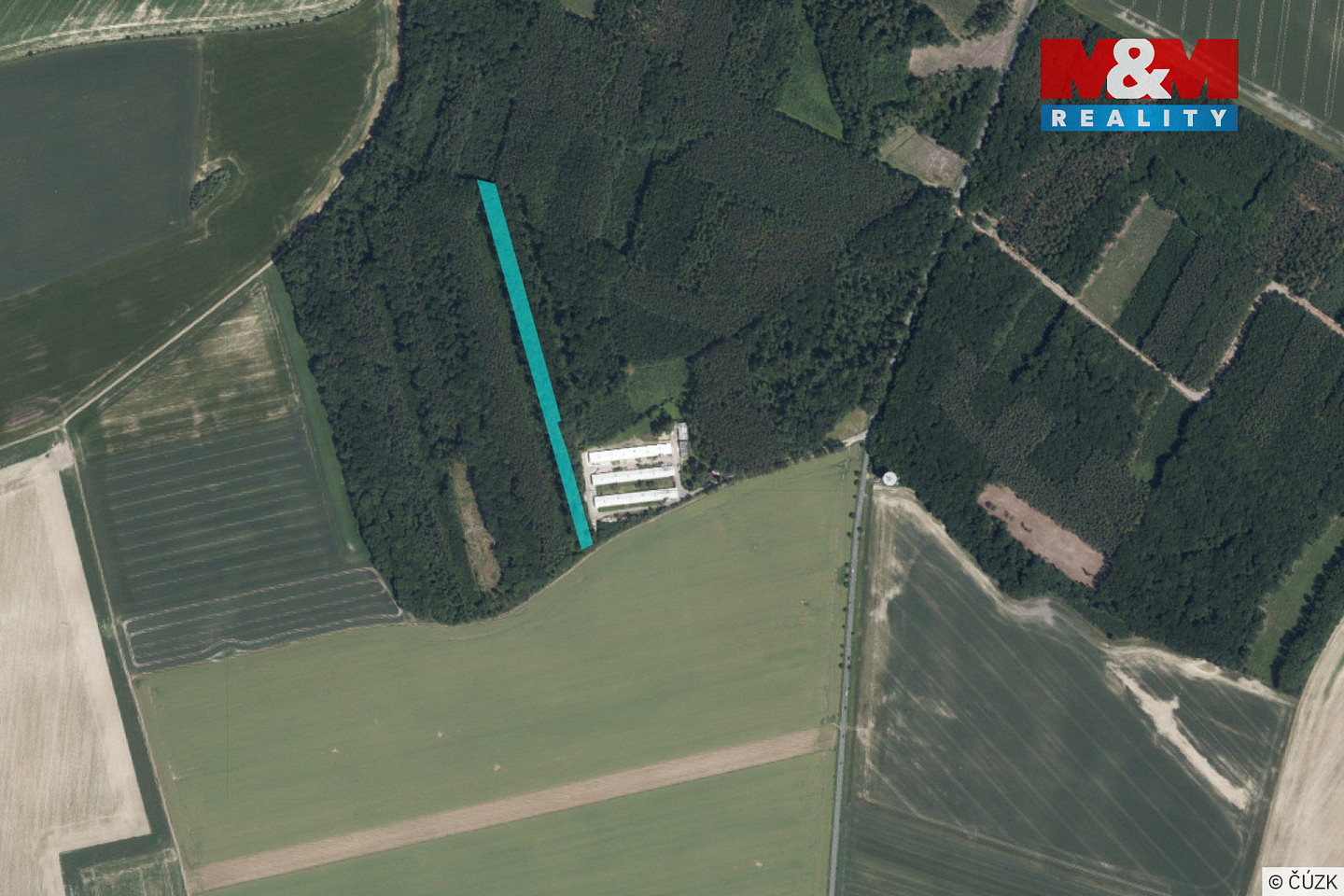 Prodej lesa 8 906 m² — photo 4