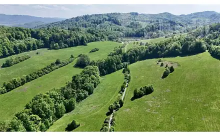 Prodej louky 7 411 m², Nový Jičín