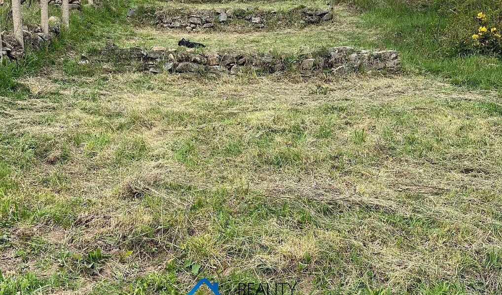 Prodej zahrady 942 m², Viničné Šumice – náhled fotky 6