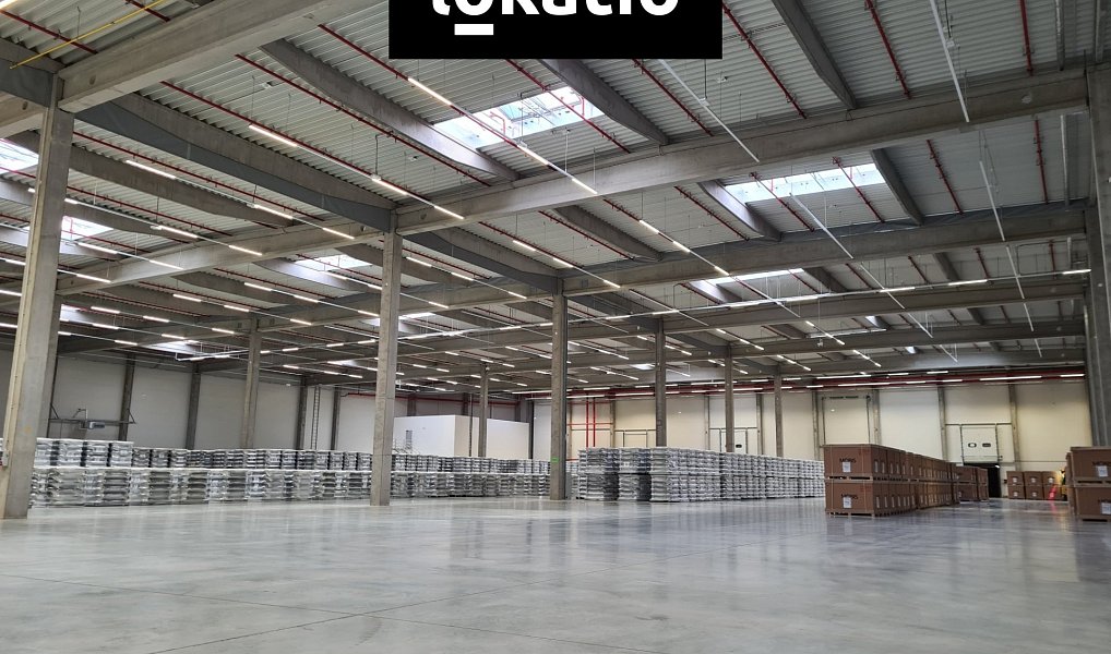 Pronájem skladovacích prostor 2 000 m², Nošovice – náhled fotky 4