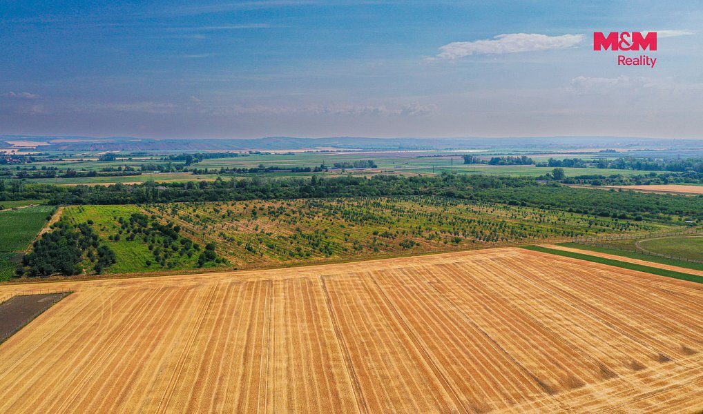 Prodej pole 123 477 m², Rakvice – náhled fotky 10