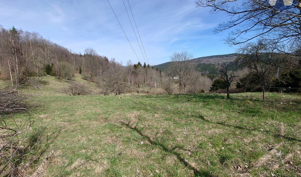 Prodej stavebního pozemku 3 652 m², Záblatí – náhled fotky 5